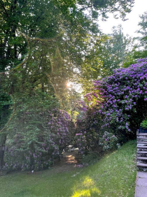 Sorpe Lodge - Entspannte Urlaubstage Am See! Langscheid  Zewnętrze zdjęcie