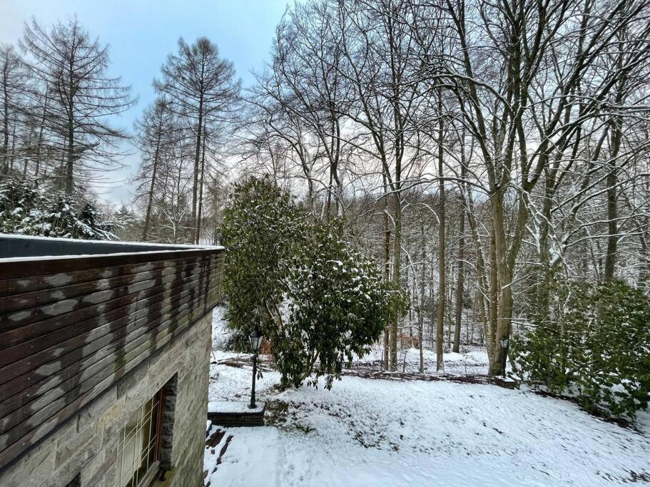Sorpe Lodge - Entspannte Urlaubstage Am See! Langscheid  Zewnętrze zdjęcie